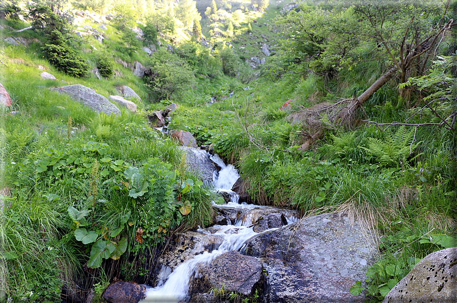 foto Rifugio Brentari